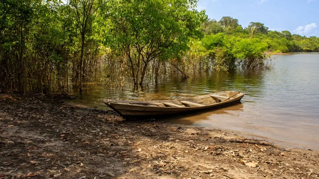 A wooden canoe rests beside the flooded forest along a riverbank in Amazonas, Brazil.