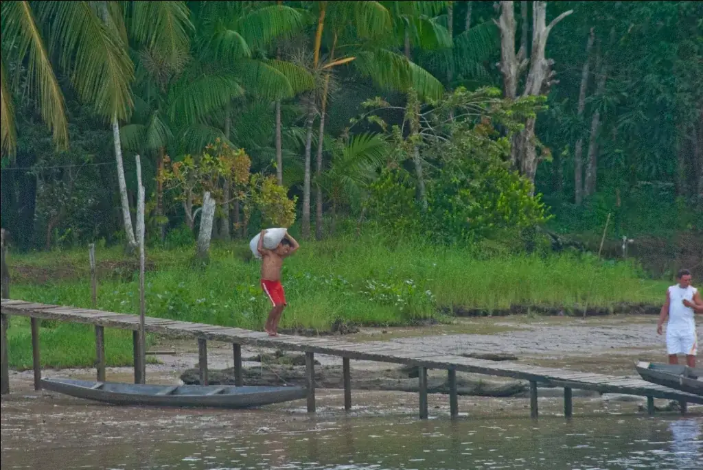 A worker carrying a sack of açaí towards wooden canoes on a riverside jetty.